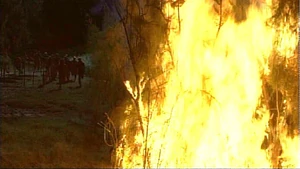The Fire.jpg
