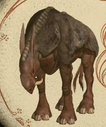 Jaboon.jpg