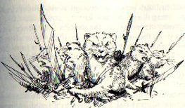 Raventail.jpg