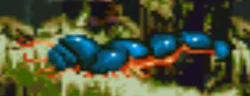 DagobahCaterpillar
