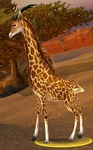 Barrens Giraffe