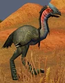Ornery Plainstrider.jpg