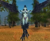 Witchwing Harpy
