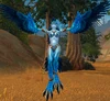 Witchwing Windcaller