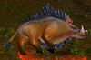 Bellygrub