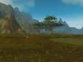 Saltspray Glen.jpg