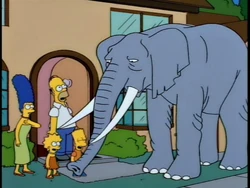 BartGetsanElephant.JPG