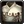Inv shirt 01.png