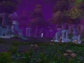 Forest Song.jpg