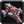 Inv staff 29
