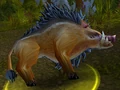 Mountain Boar.jpg
