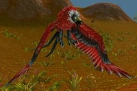 Dire Condor