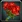Inv rosebouquet01