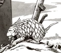 Borcatu-CotG.jpg