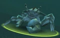 Spined Crawler.JPG