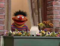 Windowbox.jpg
