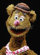 Fozzie65