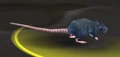 Deeprun Rat.jpg