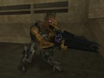 Jackal Sniper