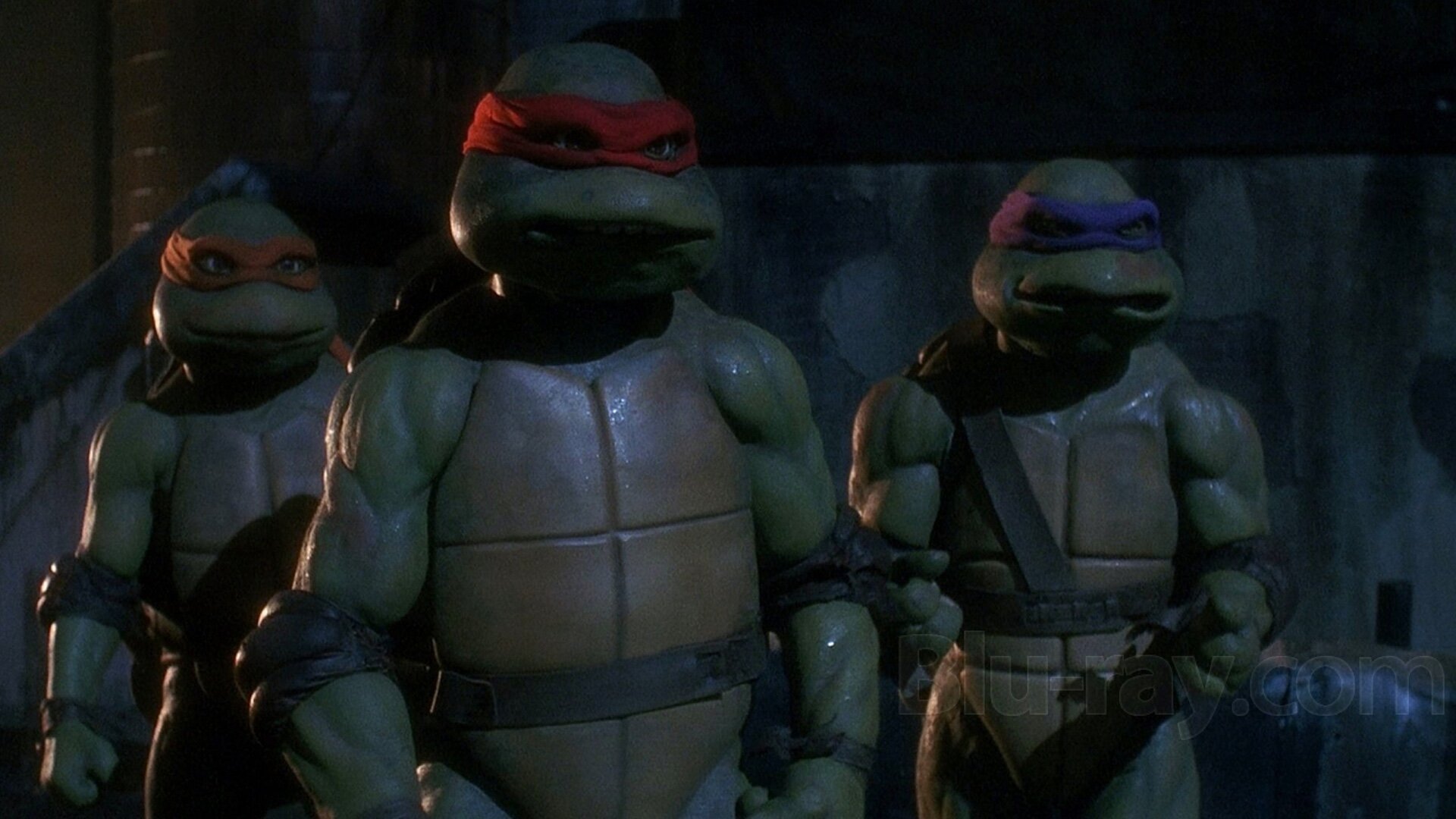 Ninjaturtlescreatures