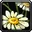 Inv misc flower 02