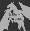 Dragon nopic