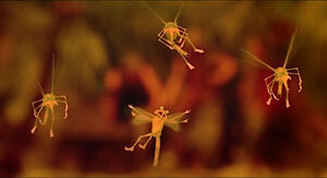 Mosquitos