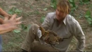 Chicken.jpg