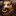 Tauren male