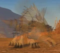 Ghost Wolf02.jpg