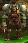 Ott