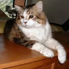 Jordy2006