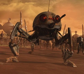 Dwarf Spider Dwarf.jpg