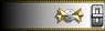 Shoulder insignia.