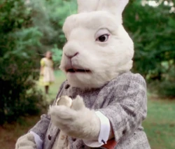 Whiterabbit-aw