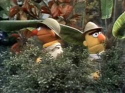 E&BJungle