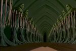 Phylosians dead