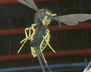 Wasp