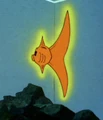 Halo fish.jpg