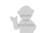Photo-not-available