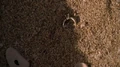 2X05-AndFound.jpg