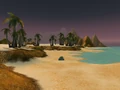 Wavestrider Beach.jpg