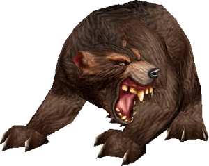 Bear
