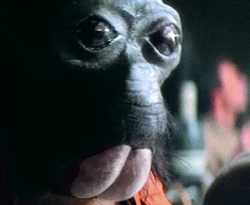Ponda Baba.jpg