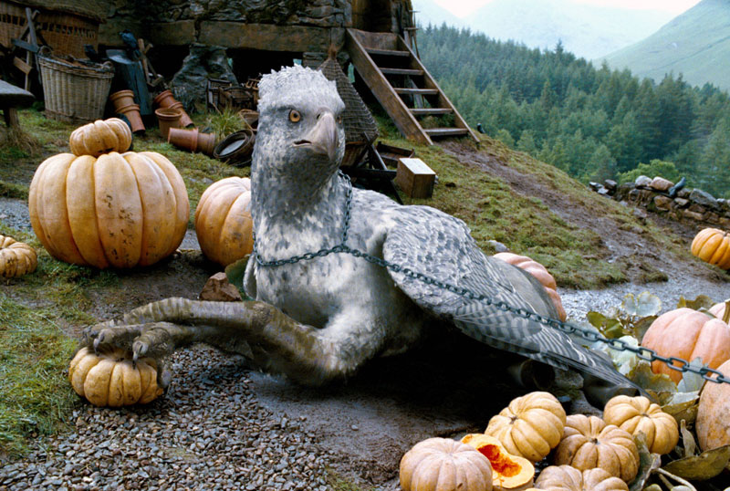 Hippogriff Pictures