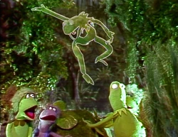 Sesame.discofrog.jpg