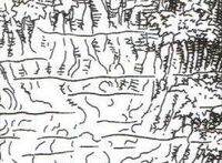 Equatorial swamp