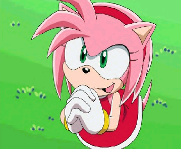 http://images4.wikia.nocookie.net/__cb20061225165826/videojuego/images/a/a1/Amy_rose.jpg
