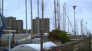 Harbour.JPG