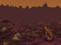 Hive'Regal.jpg